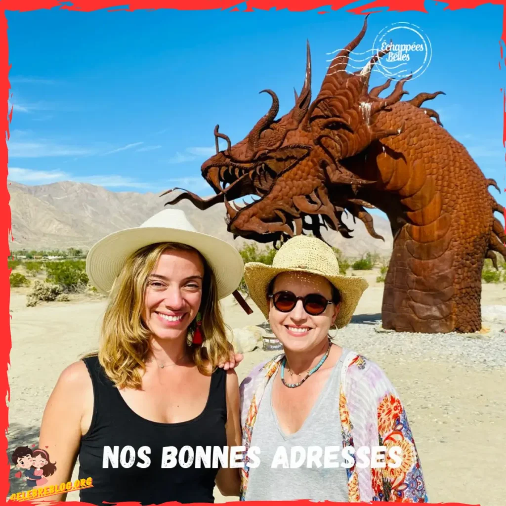 Sophie Jovillard compagnon